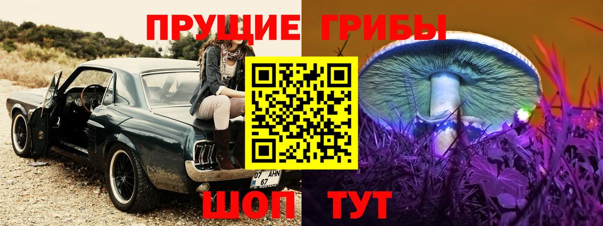 Псилоцибиновые грибы прущие грибы  Псилоцибиновые грибы Psilocybe  Светлоград  Вход с VPN 