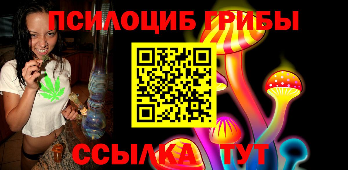 Галлюциногенные грибы мухоморы Светлоград